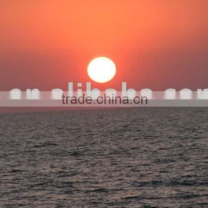 CHINA TO SALERNO(ocean Freight Service for LCL and FCL)---KELLY thumbnail-1