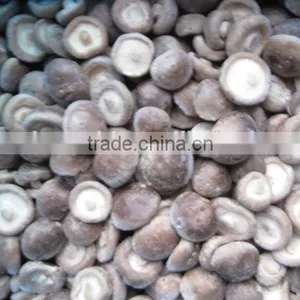 IQF Frozen Shiitake Mushroom thumbnail-1
