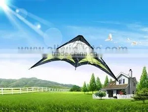 Dual Line Delta Stunt Kites - Curved Edge Kites thumbnail-1