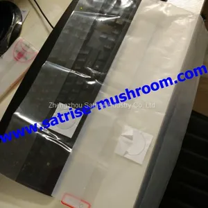Mushroom Spawn Bag Grow Mushrooms From Spores Shiitake Growing Spawn thumbnail-3