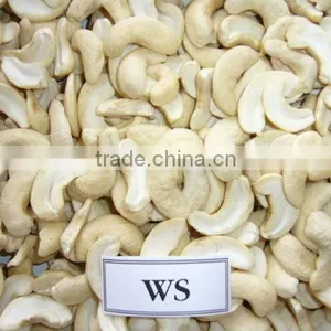 CASHEW NUTS WS /Raw Cashew Kernel Price thumbnail-2