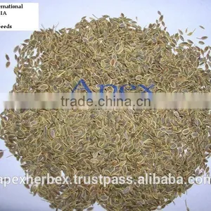 Dill Seeds TBC thumbnail-4