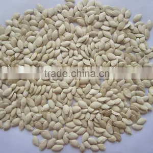 Dried Snow White Pumpkin Seeds Lady Nail Pumpkin Seeds thumbnail-4