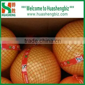 Fresh Pomelo/Chinese Pomelo Fruit/Pomelo Prices thumbnail-5