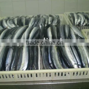 Canned Saury Fish thumbnail-1