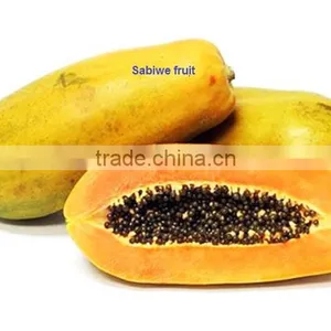 Vietnam HACCP/ISO/HALAL Soft Dried Magon Fruit thumbnail-3
