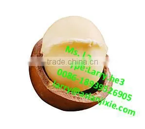 Queensland Nut Shell Removing Machine/Queensland Nut Desheller/Queensland Nut Deshelling Machine thumbnail-4