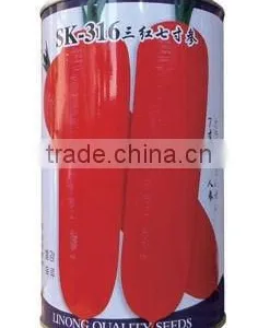 Chinese Seeds SK-3 Carrot Seeds Wholesale thumbnail-1