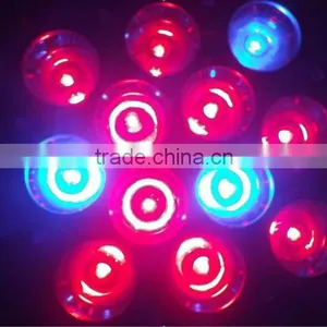 Red Blue Par38 Led Grow Light Bulb 12W thumbnail-3