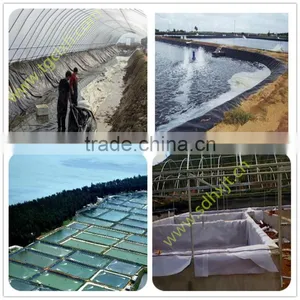 Manufacturer of Aquaculture Geomembrane Shrimp Fish Pond Liner thumbnail-1