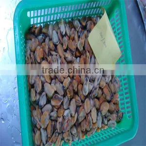 Blue Mussel Meat(300-500) thumbnail-1