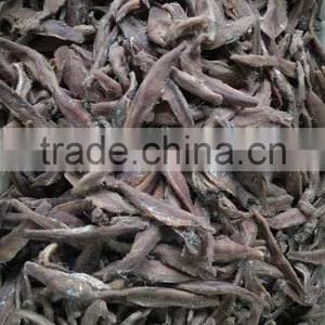 Italy Processing Way Salted Anchovy Fillets thumbnail-5