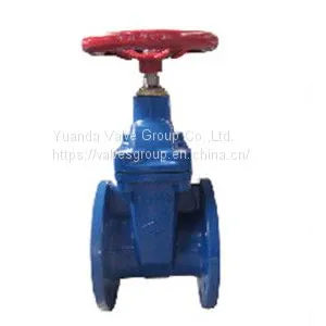 Cast Iron Gate Valve thumbnail-1