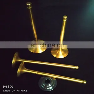Motorcycle Engine Auto Parts Engine Valve for Daelim VC125 VS125 VT125 LML 125 VL VS VT 125 Daystar Evolution thumbnail-6
