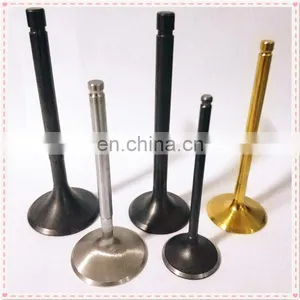 Supermoto Vintage Racing Motor Accessories Parts Engine Valves for Ktm Duke 200 Exc Italjet 350 250 50cc 125cc 200cc 250cc thumbnail-5