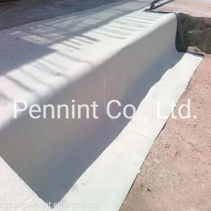 Pre-applied Self-adhesive HDPE Waterproofing Membrane for Basement Sand Coated thumbnail-5