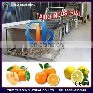 Fruit Washing Line for Oranges/lemons/citrus/avocado Washing Machine thumbnail-3
