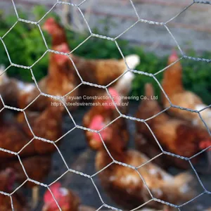 Hexagonal Wire Mesh Hexagonal Mesh Hexagonal Gabion Box Chicken Egg Layer Cages thumbnail-3