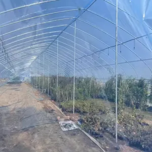 4MIL Agriculture Plastic Greenhouse PE PO Film Clear Greenhouse Cover thumbnail-3