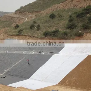 Composite Geomembrane for Road/highway/tank/water Treatment thumbnail-2