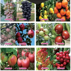 Factory Price Auxin S-abscisic Acid S-ABA 90%TC Plant Growth Regulator thumbnail-2