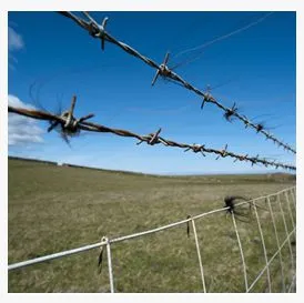 Factory Supply 500 Meters Galvanized Steel Barbed Wire Per Roll for Farm Mountain Prison Wall Protection thumbnail-5