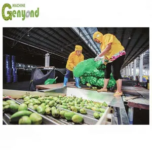 Shanghai Factory Complete Small Capacity Mango Puree Processing Plant thumbnail-1