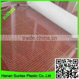 High Quality PE Cultivation Protection Plastic Anti-bird Mesh thumbnail-1