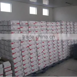 Swelling Powder Form Dried Instant and Fast Active Bakery Yeast thumbnail-5