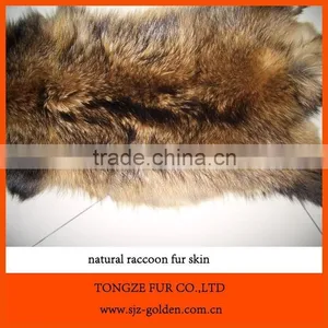 Tanned Raccoon Fur Skin thumbnail-3