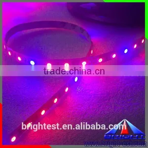Shenzhen LED Grow Light Strip12V DC,Ws2812 5050 Led Strip Led Plant Grow Light Strip thumbnail-1