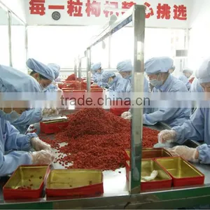 Natural Goji Fruit thumbnail-1
