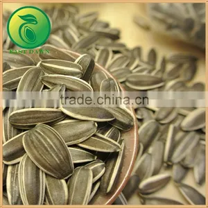 Sunflower Seeds Crude Sunflower Oil thumbnail-3