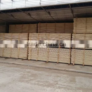 Germany Joint Venture Wood Drying Oven, Wood Drying Camera, Drying Room thumbnail-2