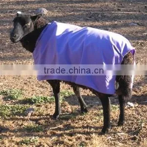 Breathable Sheep Coat thumbnail-2