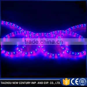 240v Color Changing Outdoor 100m Decoration Led Rope Light Quality Choice thumbnail-2