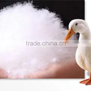 Wholesale Eco-friendly White Duck Down thumbnail-1