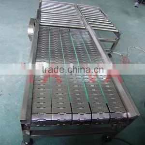 YS-SV Type Plastic Slat Top Chain Conveyors by Customized thumbnail-2