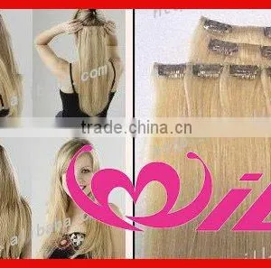 Pretty Remy Clip in Human Hair Extensions Hot Selling 100% Human Remy Hair Clip Hair Extentions thumbnail-1