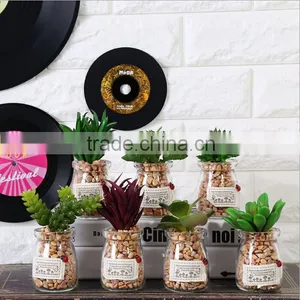 High Quality Home Garden Decoration Succulent Pots Bonsai Pot For Sale thumbnail-1