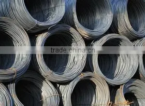 Wire Rod Li Xiaoxi thumbnail-2