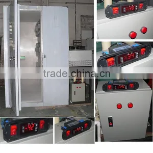 Instant Freezer for 300kg Strawberry Freezing thumbnail-4