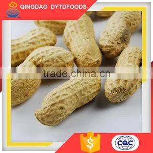 China Roasted Peanut in Shell Roasted and Salted Peanuts Shell thumbnail-2