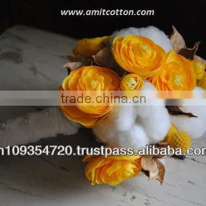 Best Quality Raw Cotton thumbnail-1