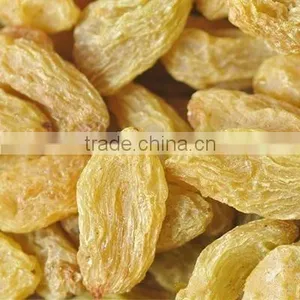 Dry White Raisin thumbnail-1