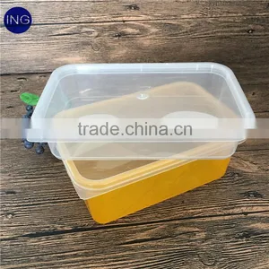 Disposable Clear Plastic Binjection Packaging Fruit Container thumbnail-1