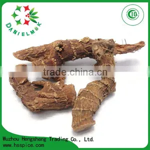 Chinese New Crop Natural 100% Pure Big Size Red Galangal Roots thumbnail-3