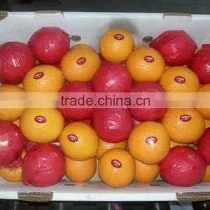Fresh Navel Orange High Quality thumbnail-1