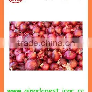 Export Fresh New Crop Red Yellow Onion thumbnail-4