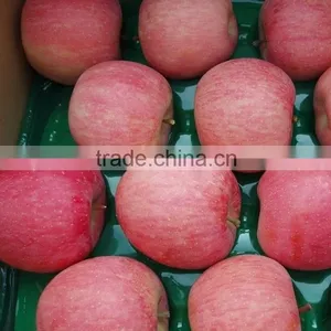 Chinese Fresh Fuji Apple With Best Price for Export thumbnail-4